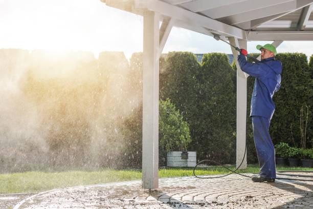 Best Building Exterior Washing  in Dayton, TX